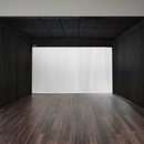 Carl's Place Built-In Screen with Retractable Curtains and Ceiling Panels.